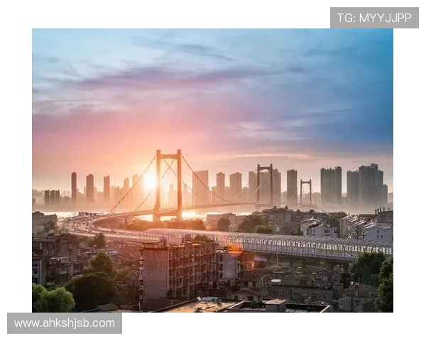 武汉羽毛球队奋勇拼搏的历程与荣耀时刻全景回顾 武汉羽毛球队奋勇拼搏的历程与荣耀时刻全景回顾