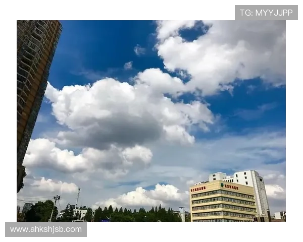 武汉羽毛球队精英赛之路：从挑战到辉煌的突破与成长故事